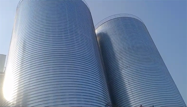 咸宁2座混凝土高架卷板仓